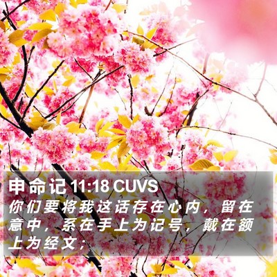 申 命 记 11:18 CUVS Bible Verse Image