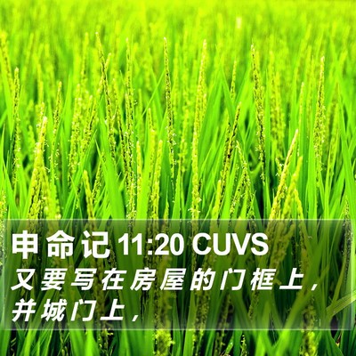 申 命 记 11:20 CUVS Bible Verse Image