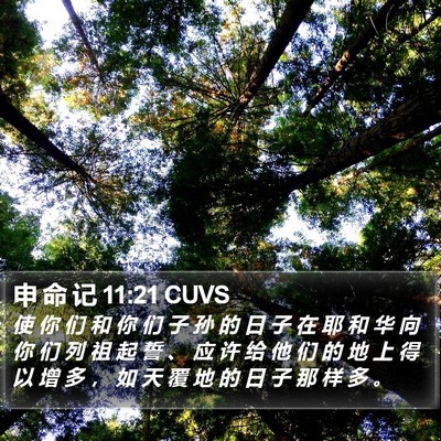 申 命 记 11:21 CUVS Bible Verse Image