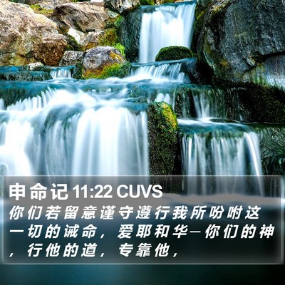 申 命 记 11:22 CUVS Bible Verse Image