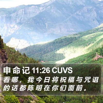 申 命 记 11:26 CUVS Bible Verse Image