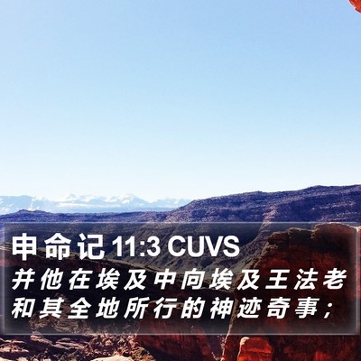 申 命 记 11:3 CUVS Bible Verse Image