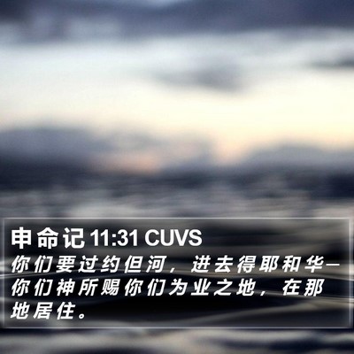 申 命 记 11:31 CUVS Bible Verse Image