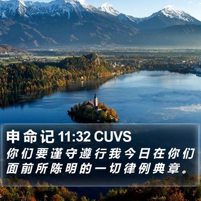 申 命 记 11:32 CUVS Bible Verse Image