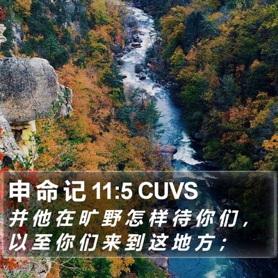 申 命 记 11:5 CUVS Bible Verse Image