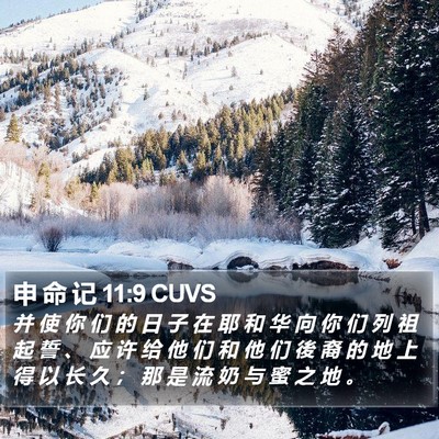 申 命 记 11:9 CUVS Bible Verse Image