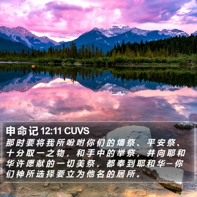 申 命 记 12:11 CUVS Bible Verse Image