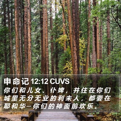 申 命 记 12:12 CUVS Bible Verse Image