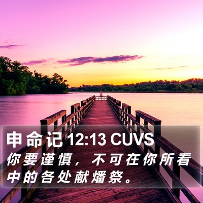 申 命 记 12:13 CUVS Bible Verse Image