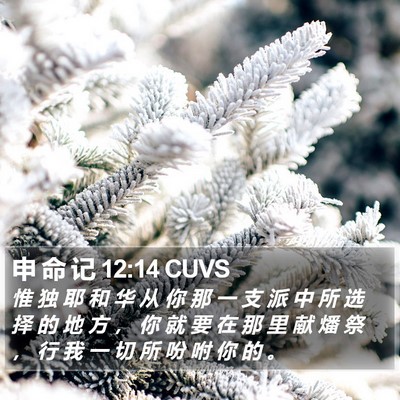 申 命 记 12:14 CUVS Bible Verse Image