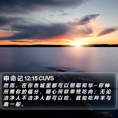 申 命 记 12:15 CUVS Bible Verse Image
