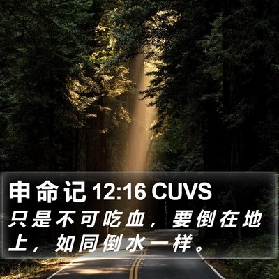 申 命 记 12:16 CUVS Bible Verse Image