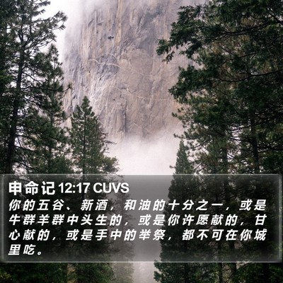 申 命 记 12:17 CUVS Bible Verse Image