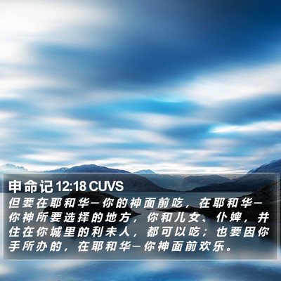 申 命 记 12:18 CUVS Bible Verse Image