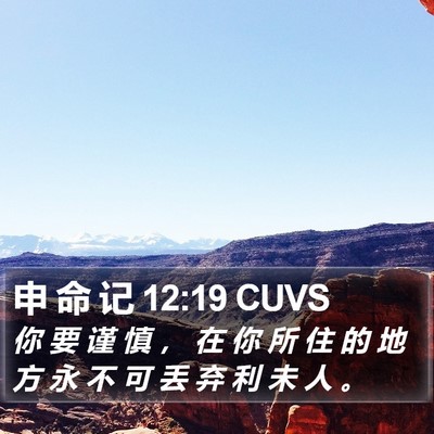 申 命 记 12:19 CUVS Bible Verse Image