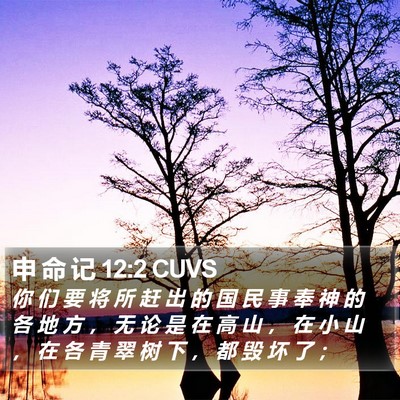 申 命 记 12:2 CUVS Bible Verse Image