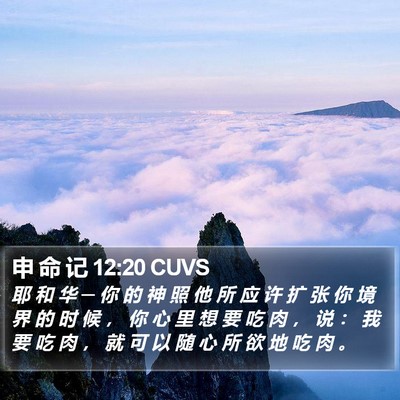 申 命 记 12:20 CUVS Bible Verse Image
