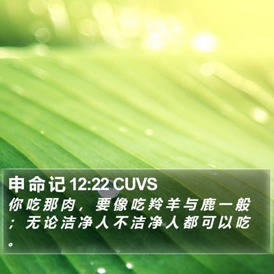 申 命 记 12:22 CUVS Bible Verse Image