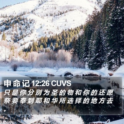 申 命 记 12:26 CUVS Bible Verse Image