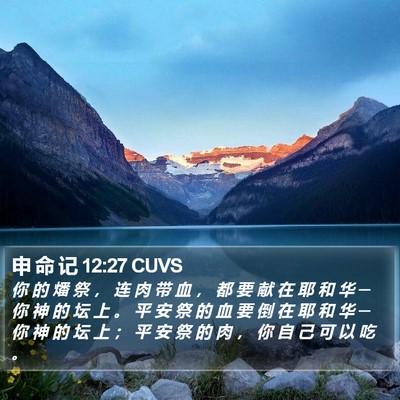 申 命 记 12:27 CUVS Bible Verse Image