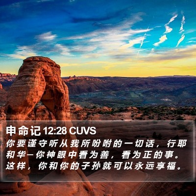 申 命 记 12:28 CUVS Bible Verse Image