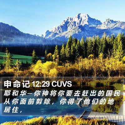 申 命 记 12:29 CUVS Bible Verse Image