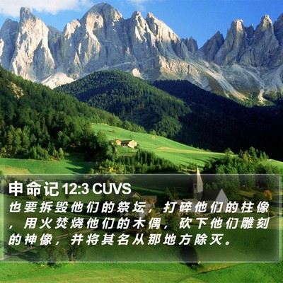 申 命 记 12:3 CUVS Bible Verse Image
