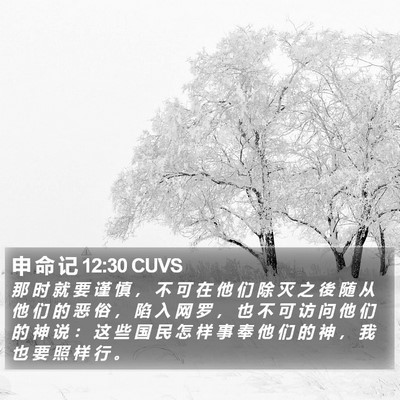 申 命 记 12:30 CUVS Bible Verse Image
