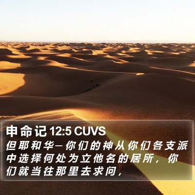申 命 记 12:5 CUVS Bible Verse Image
