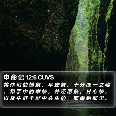 申 命 记 12:6 CUVS Bible Verse Image