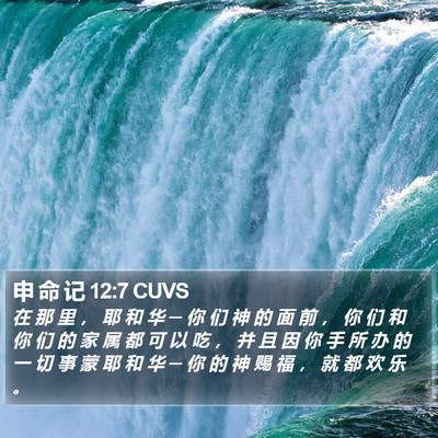 申 命 记 12:7 CUVS Bible Verse Image
