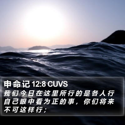 申 命 记 12:8 CUVS Bible Verse Image
