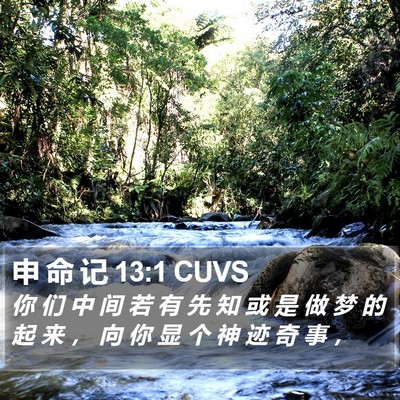 申 命 记 13:1 CUVS Bible Verse Image