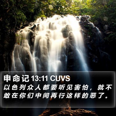 申 命 记 13:11 CUVS Bible Verse Image