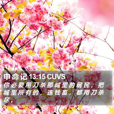 申 命 记 13:15 CUVS Bible Verse Image