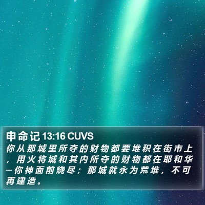 申 命 记 13:16 CUVS Bible Verse Image