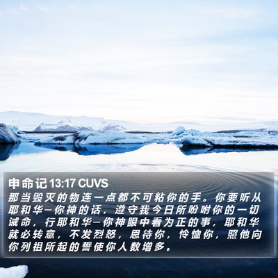 申 命 记 13:17 CUVS Bible Verse Image