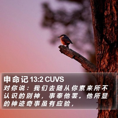 申 命 记 13:2 CUVS Bible Verse Image