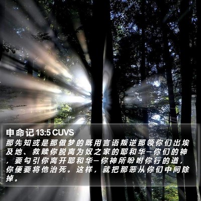 申 命 记 13:5 CUVS Bible Verse Image