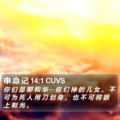 申 命 记 14:1 CUVS Bible Verse Image