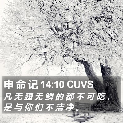 申 命 记 14:10 CUVS Bible Verse Image