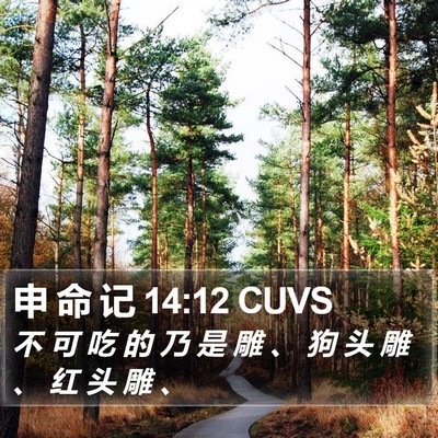 申 命 记 14:12 CUVS Bible Verse Image