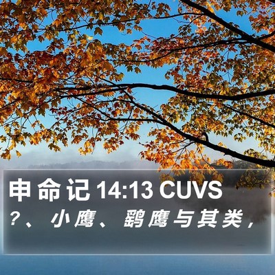 申 命 记 14:13 CUVS Bible Verse Image