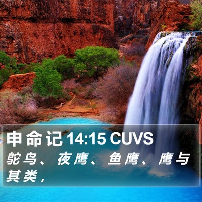 申 命 记 14:15 CUVS Bible Verse Image