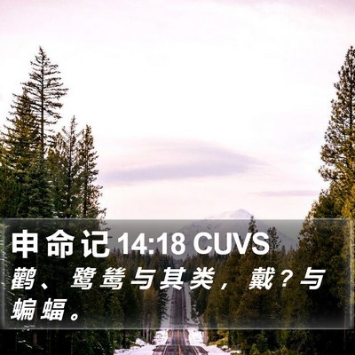 申 命 记 14:18 CUVS Bible Verse Image