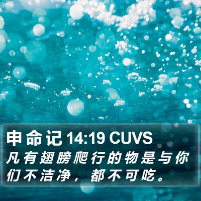 申 命 记 14:19 CUVS Bible Verse Image