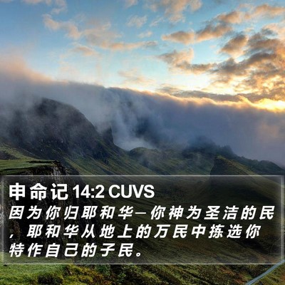 申 命 记 14:2 CUVS Bible Verse Image
