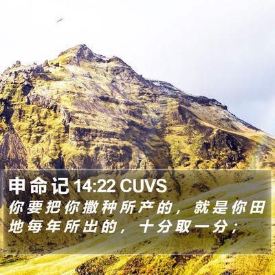 申 命 记 14:22 CUVS Bible Verse Image
