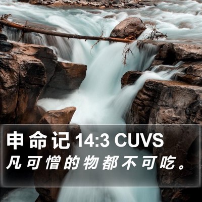 申 命 记 14:3 CUVS Bible Verse Image