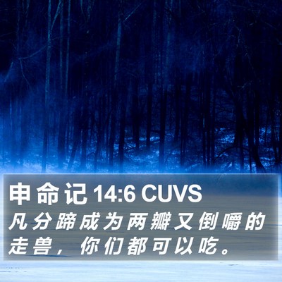 申 命 记 14:6 CUVS Bible Verse Image